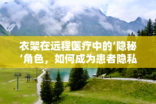 衣架在远程医疗中的‘隐秘’角色，如何成为患者隐私的守护者？