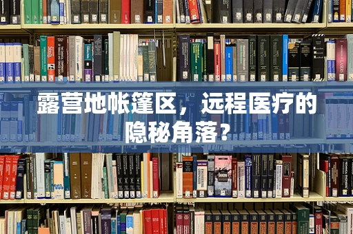 露营地帐篷区，远程医疗的隐秘角落？
