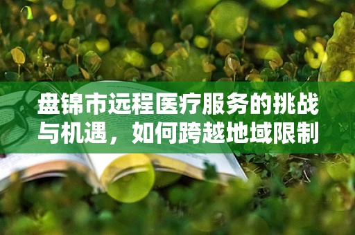 盘锦市远程医疗服务的挑战与机遇，如何跨越地域限制，实现医疗资源均衡？