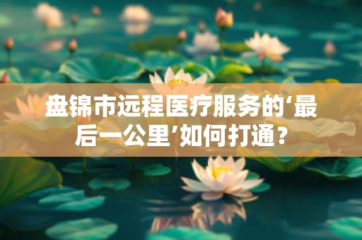 盘锦市远程医疗服务的‘最后一公里’如何打通？