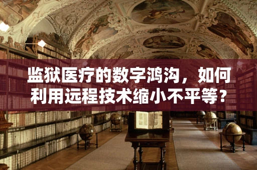 监狱医疗的数字鸿沟，如何利用远程技术缩小不平等？