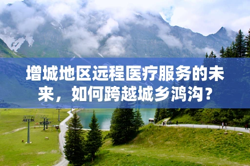 增城地区远程医疗服务的未来，如何跨越城乡鸿沟？