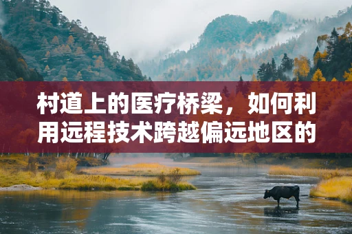 村道上的医疗桥梁，如何利用远程技术跨越偏远地区的健康鸿沟？