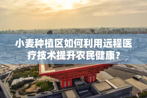 小麦种植区如何利用远程医疗技术提升农民健康？