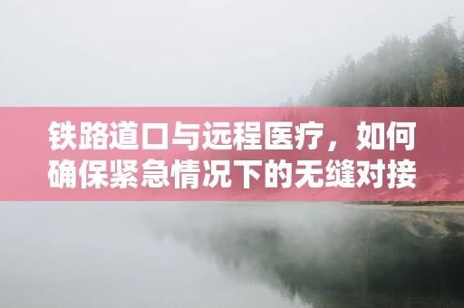 铁路道口与远程医疗，如何确保紧急情况下的无缝对接？