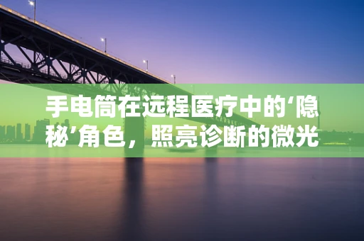 手电筒在远程医疗中的‘隐秘’角色，照亮诊断的微光