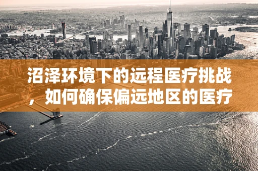 沼泽环境下的远程医疗挑战，如何确保偏远地区的医疗援助畅通无阻？