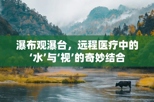 瀑布观瀑台，远程医疗中的‘水’与‘视’的奇妙结合