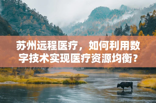 苏州远程医疗，如何利用数字技术实现医疗资源均衡？