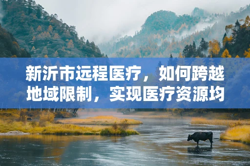 新沂市远程医疗，如何跨越地域限制，实现医疗资源均衡？