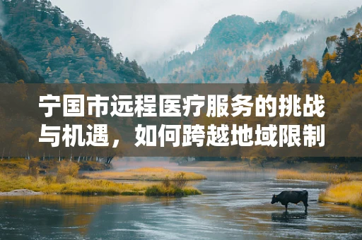 宁国市远程医疗服务的挑战与机遇，如何跨越地域限制，实现医疗资源均衡？