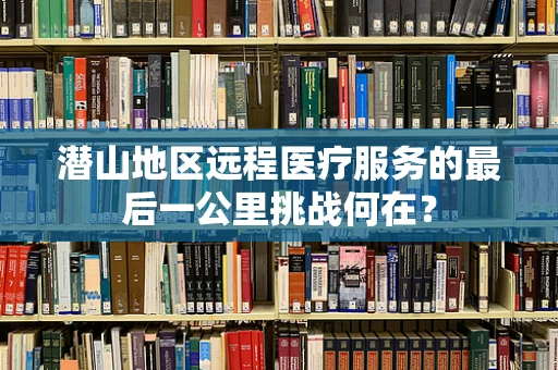 潜山地区远程医疗服务的最后一公里挑战何在？