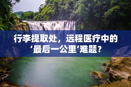 行李提取处，远程医疗中的‘最后一公里’难题？