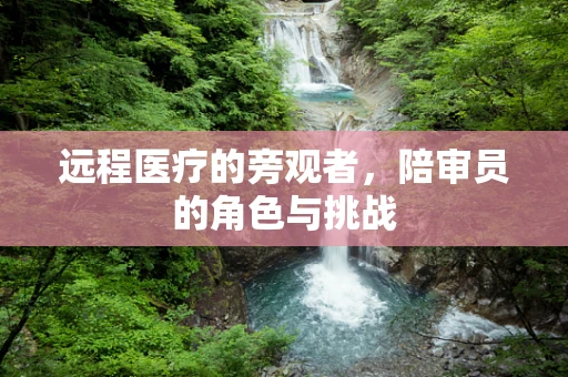 远程医疗的旁观者，陪审员的角色与挑战