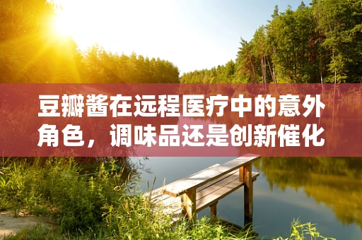 豆瓣酱在远程医疗中的意外角色，调味品还是创新催化剂？