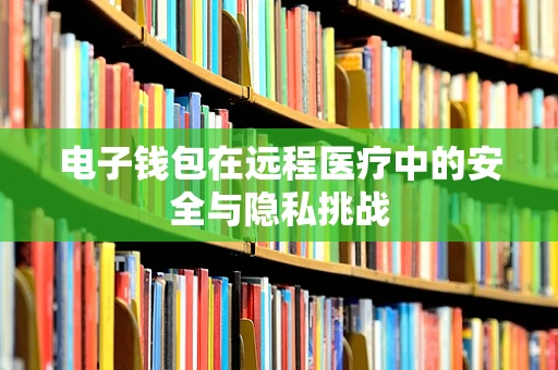 电子钱包在远程医疗中的安全与隐私挑战