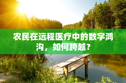 农民在远程医疗中的数字鸿沟，如何跨越？
