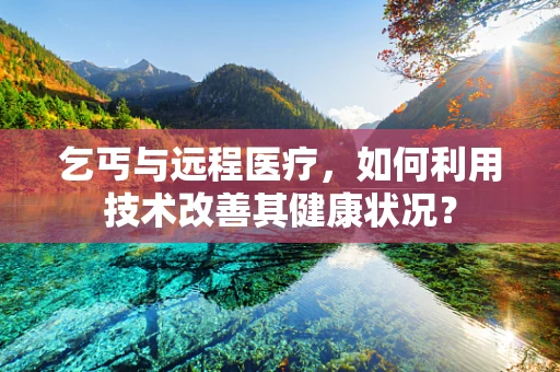 乞丐与远程医疗，如何利用技术改善其健康状况？
