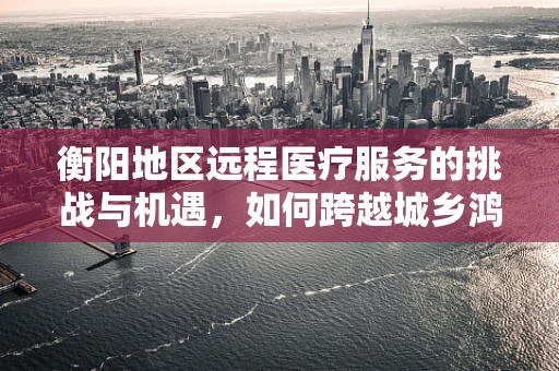 衡阳地区远程医疗服务的挑战与机遇，如何跨越城乡鸿沟？