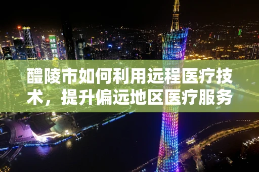 醴陵市如何利用远程医疗技术，提升偏远地区医疗服务质量？