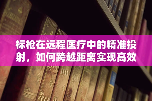 标枪在远程医疗中的精准投射，如何跨越距离实现高效诊断？