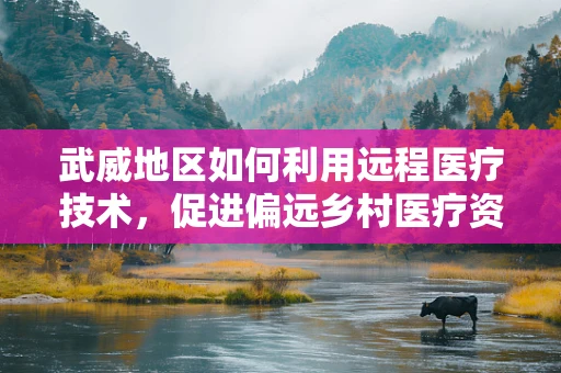 武威地区如何利用远程医疗技术，促进偏远乡村医疗资源均衡发展？