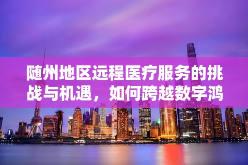 随州地区远程医疗服务的挑战与机遇，如何跨越数字鸿沟？