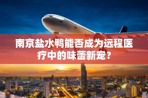 南京盐水鸭能否成为远程医疗中的味蕾新宠？