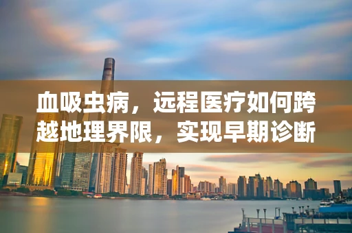 血吸虫病，远程医疗如何跨越地理界限，实现早期诊断与治疗？