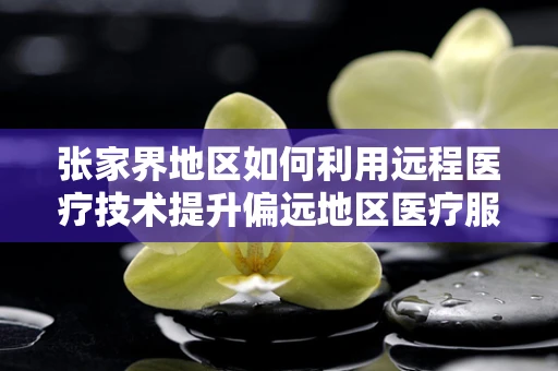 张家界地区如何利用远程医疗技术提升偏远地区医疗服务？