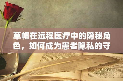 草帽在远程医疗中的隐秘角色，如何成为患者隐私的守护者？