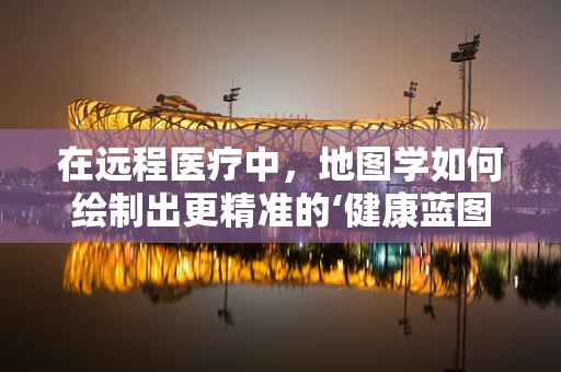 在远程医疗中，地图学如何绘制出更精准的‘健康蓝图’？