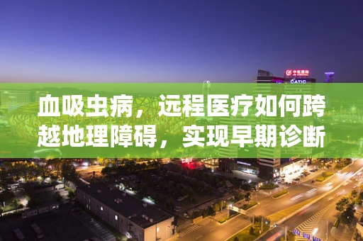 血吸虫病，远程医疗如何跨越地理障碍，实现早期诊断与治疗？