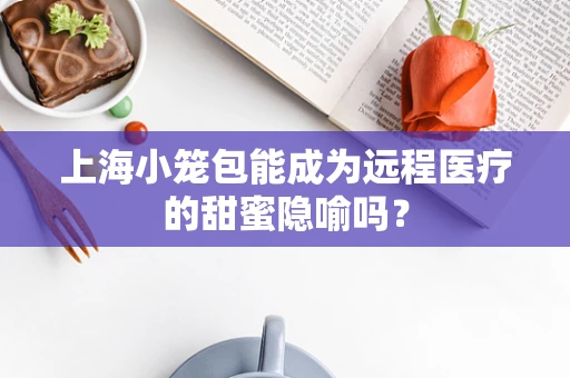 上海小笼包能成为远程医疗的甜蜜隐喻吗？
