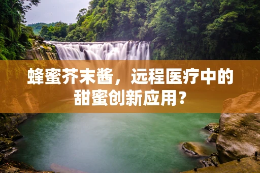 蜂蜜芥末酱，远程医疗中的甜蜜创新应用？
