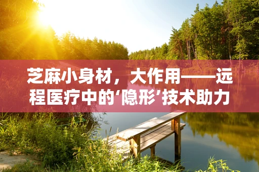 芝麻小身材，大作用——远程医疗中的‘隐形’技术助力者？