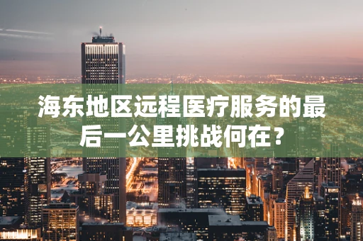海东地区远程医疗服务的最后一公里挑战何在？