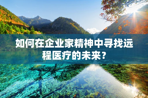 如何在企业家精神中寻找远程医疗的未来？