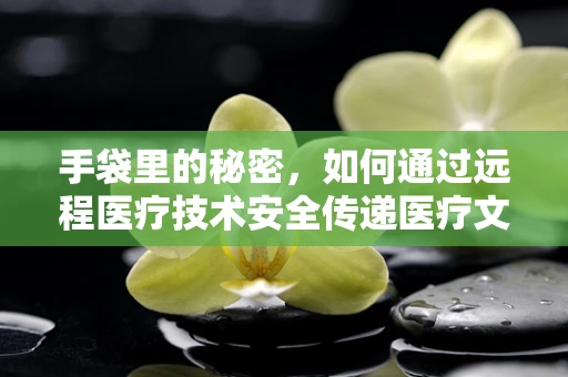 手袋里的秘密，如何通过远程医疗技术安全传递医疗文件？