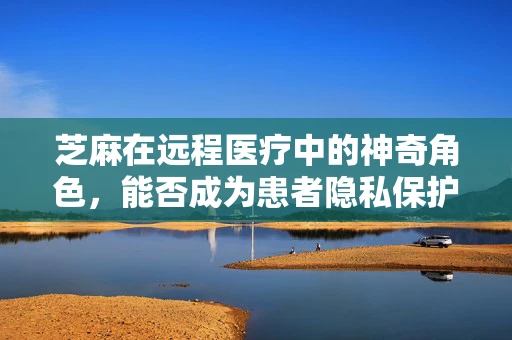 芝麻在远程医疗中的神奇角色，能否成为患者隐私保护的密钥？