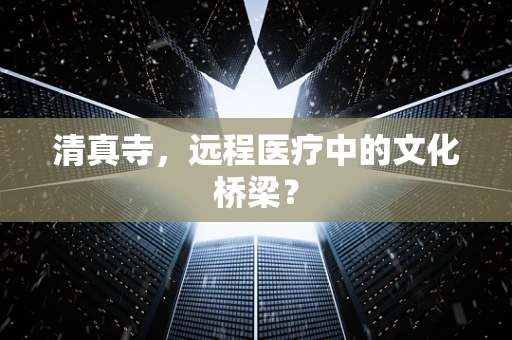 清真寺，远程医疗中的文化桥梁？