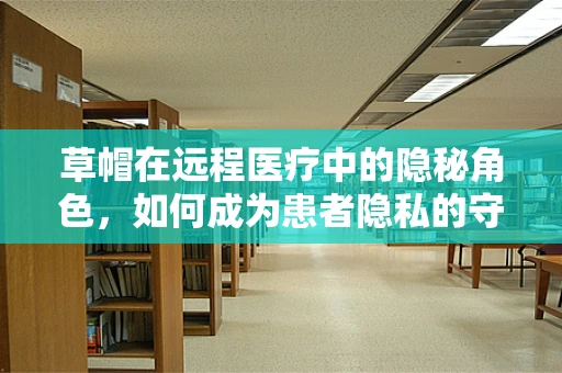 草帽在远程医疗中的隐秘角色，如何成为患者隐私的守护者？