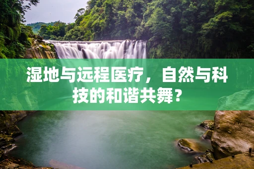 湿地与远程医疗，自然与科技的和谐共舞？
