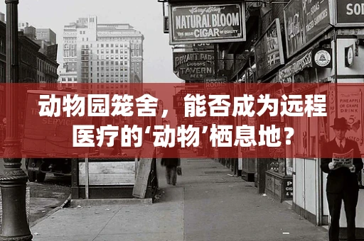 动物园笼舍，能否成为远程医疗的‘动物’栖息地？
