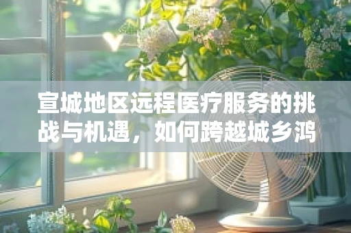宣城地区远程医疗服务的挑战与机遇，如何跨越城乡鸿沟？