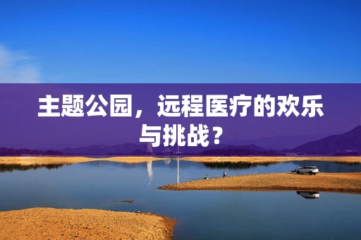 主题公园，远程医疗的欢乐与挑战？