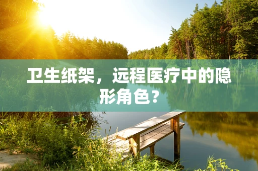 卫生纸架，远程医疗中的隐形角色？