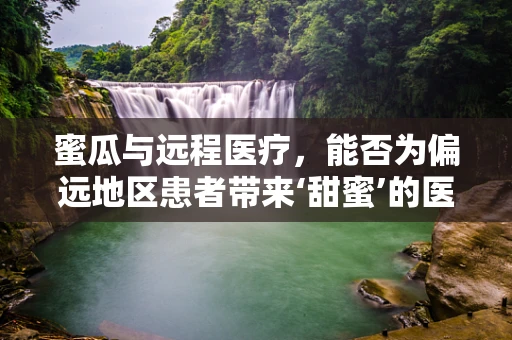 蜜瓜与远程医疗，能否为偏远地区患者带来‘甜蜜’的医疗体验？