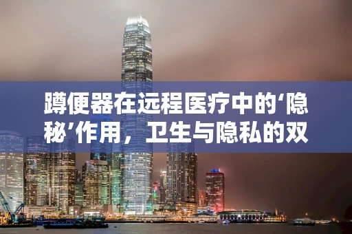 蹲便器在远程医疗中的‘隐秘’作用，卫生与隐私的双重考量