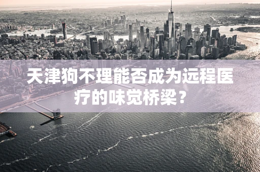 天津狗不理能否成为远程医疗的味觉桥梁？